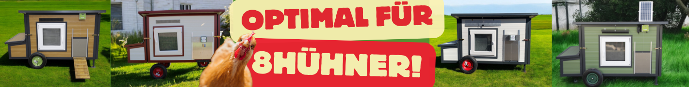 Hühnerställe für 8 Hühner mit 2 Räder