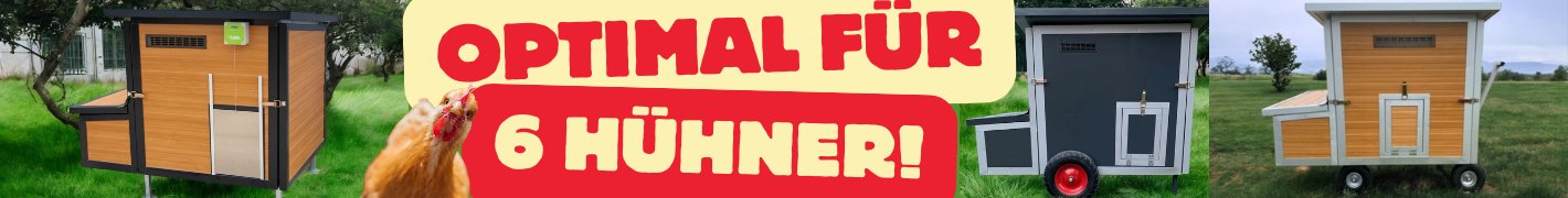 Für 6 Hühner 4 Füße