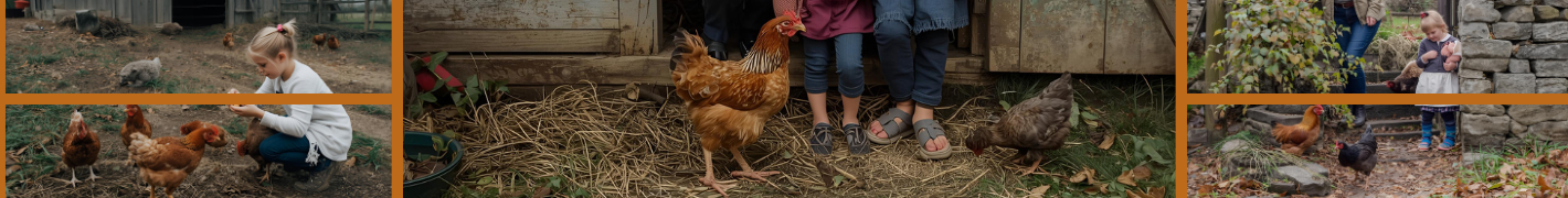 Hühnerställe für bis zu 8 Hühner mit 4 Räder