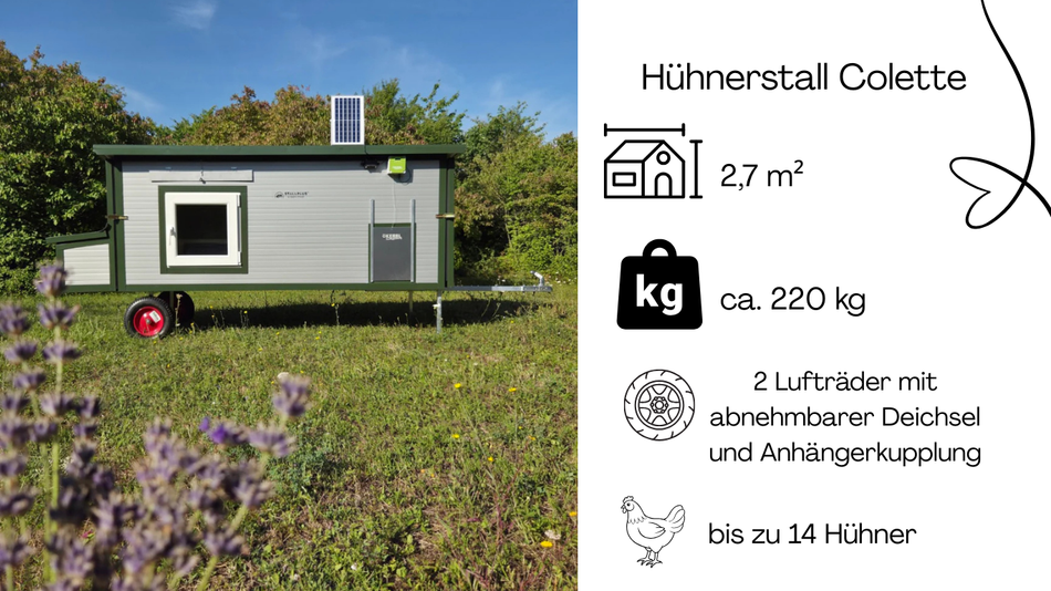 Pollaio Colette – 2 ruote (variante I2, isolato e resistente all'inverno)