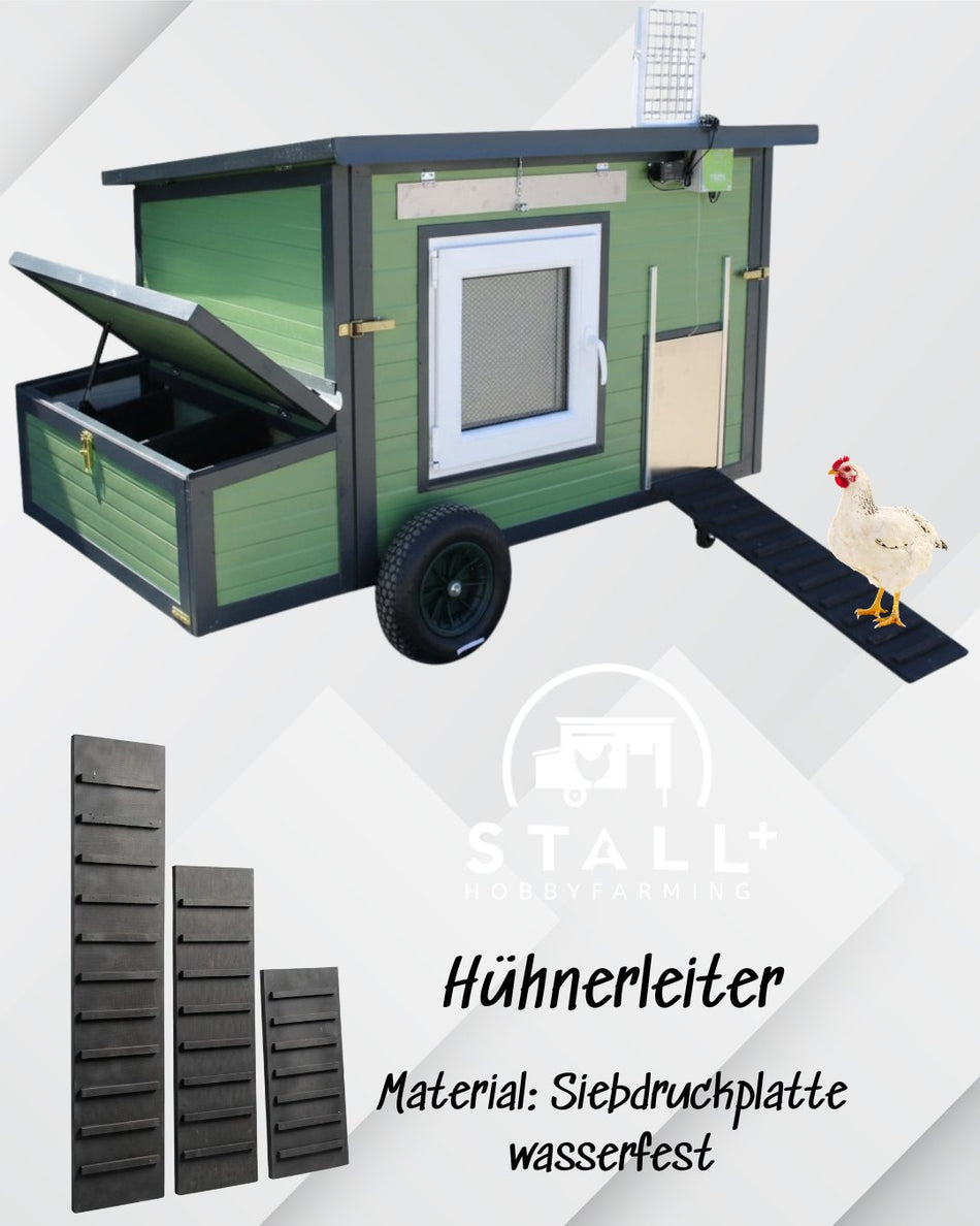 Hühnerleiter