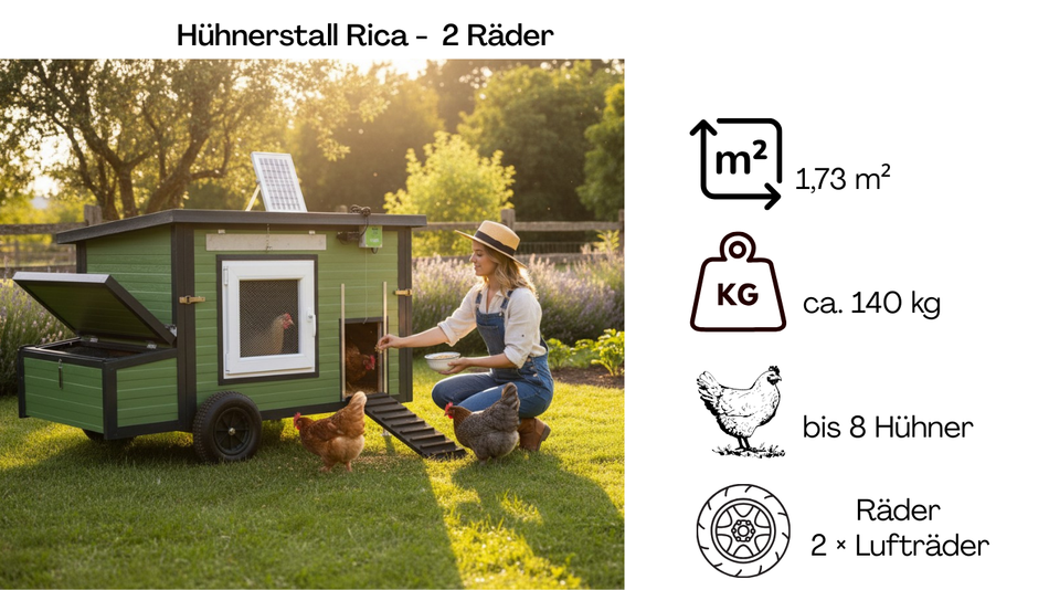 Pollaio Rica – 2 ruote (variante D4, isolato e resistente all'inverno)
