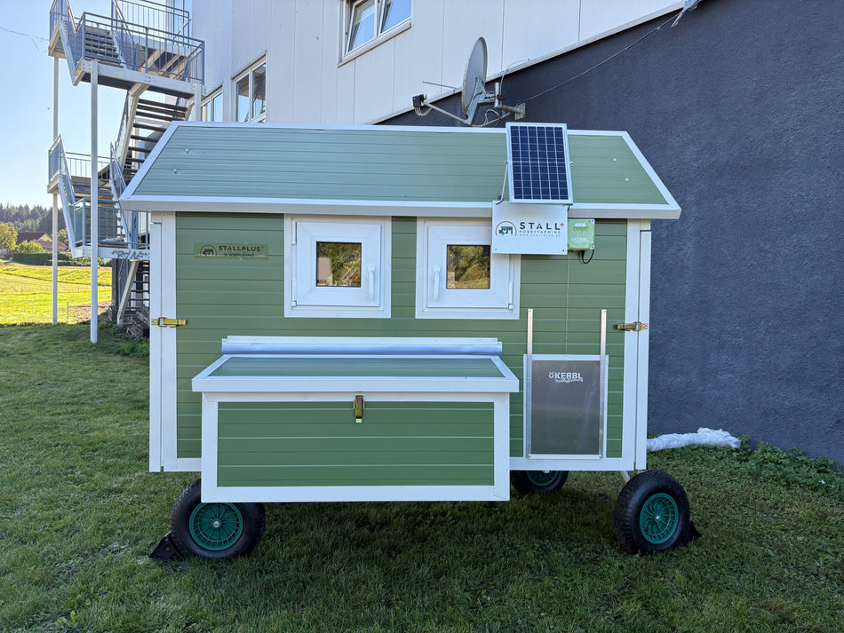 Pollaio - Pollaio Adelina Allrad resistente all'inverno per 11 galline con 4 ruote K8 Disponibile subito