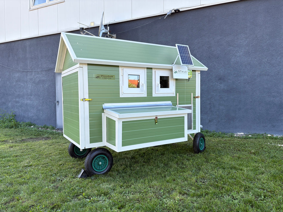 Pollaio - Pollaio Adelina Allrad resistente all'inverno per 11 galline con 4 ruote K8 Disponibile subito